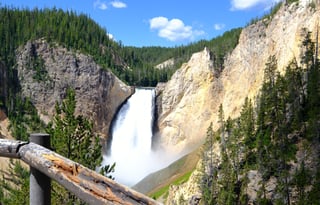 2024 Ford Tremor  Roofnest FREE P/U +STARLINK