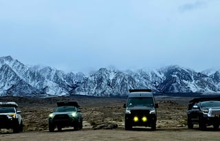 Sadie: Your Ultimate Adventure Companion