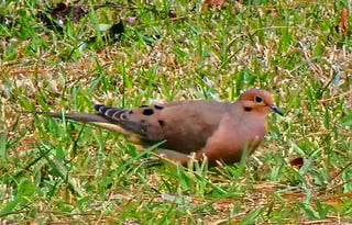 New 2025 RV Stationary. Rural area.