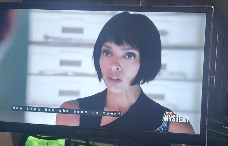 TV gets local channels, HDMI (small Spectre TV, menu says 2016, can turn to view from bed or dinette) also has DVD player. Must have electric hookup to work, does not work on just battery.