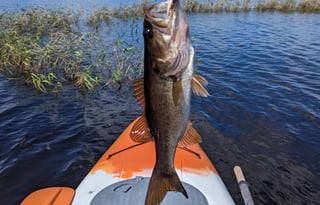 Disney and Beach Ready! 33' Jayco-Bunkhouse Slps 8