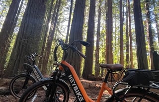 2020 Thor 25' Axis Motorcoach with eBike option