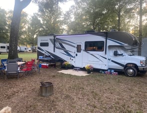 Thor Motor Coach Chateau 31EV