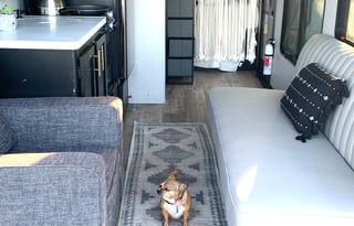 2022 Toy Hauler Trailer w/ back Party Patio Deck