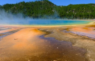 2024 Ford Tremor  Roofnest FREE P/U +STARLINK