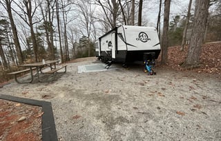 Free Bird (Delivery Only)