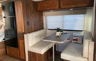 2020 Winnie the Wanderer