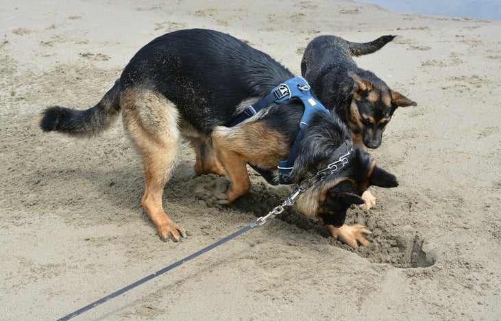 Oceanside RV Resort & Campground Coos Bay, OR