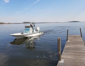 Forest River RV Blue Ridge 2910SK