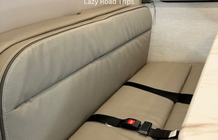 Safety is always a concern, so I wanted to show you the seat belts for those who shouted SHOTGUN first.Behind the back cushion is the car seat lock in so even young babies/toddlers can ride safely.