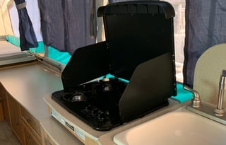 2010 palomino yearling y4103