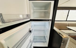 "Camping in the Forrest" River Cherokee Wolf Pup