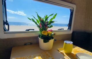 2026 Scamp Lite "Little Miss Sunshine"