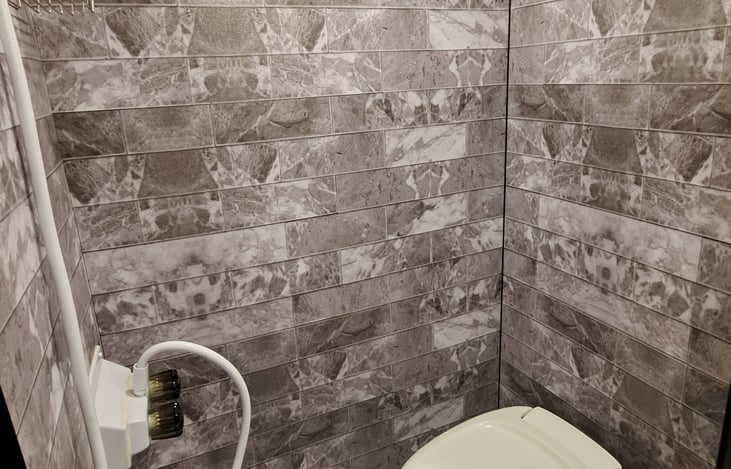 Shower and Toilet (Shoilet)