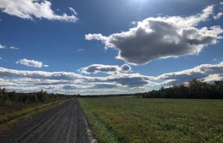 Get Moooovin and Van DCamp!