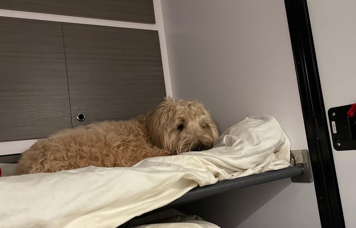 Add a bunk for your pup or kiddos!