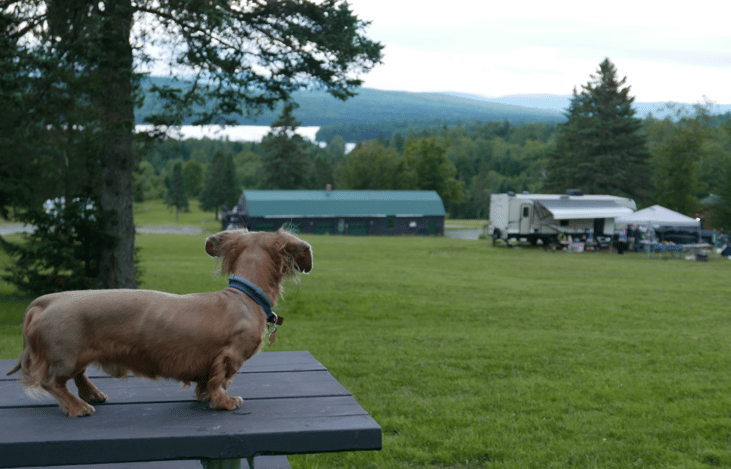 Marv enjoying the view