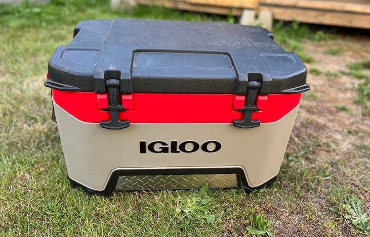 52 quart Igloo Cooler available for rent.