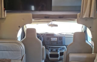 Travel Bear is ready to make new memories.