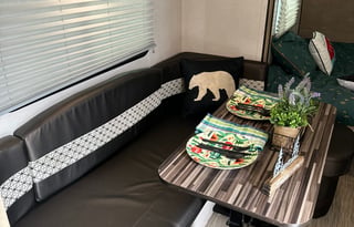 'Ruthie' 2019 Forest River R-Pod ACO468