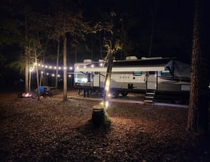 Forest River RV Aurora 32BDS