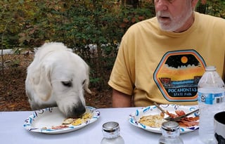 Beau Skye and Willow Dawn's Dog Friendly RV Rental