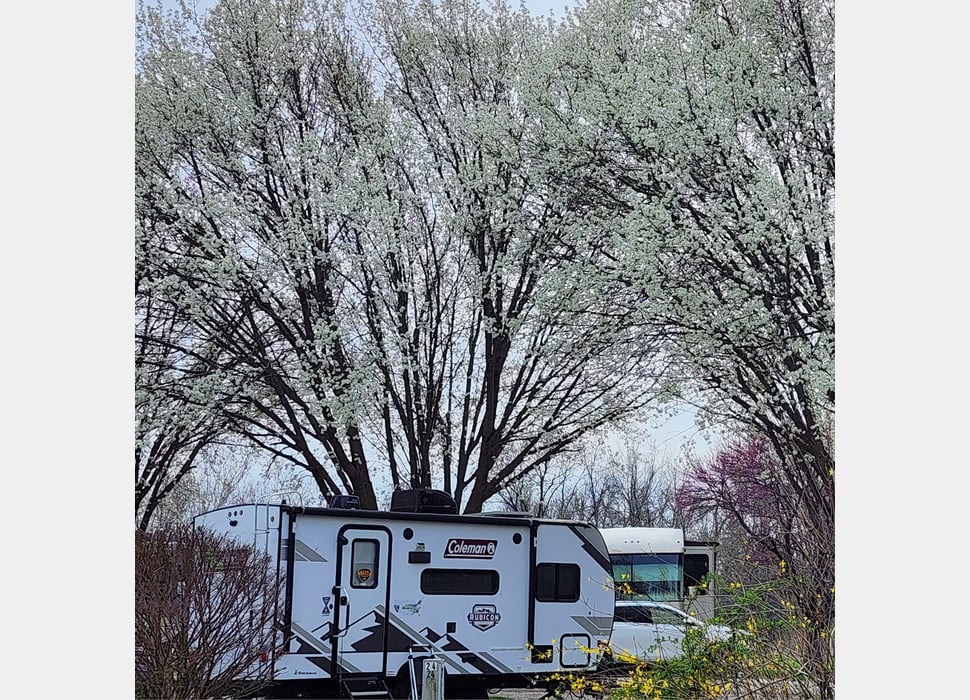 Travel Trailer rentals in Rocky Mount