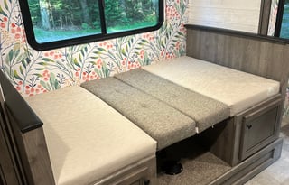 Kid Approved, Pet Friendly, 2021 Apex Nano RV