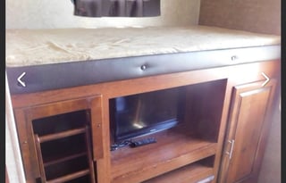 Fun and friendly family bird