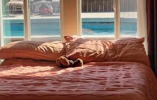 2017 2 Bed/2 Full Ba 43' 5th Wheel + Pool and Hot Tub Option + 2 Bed / 2 Ba House Option