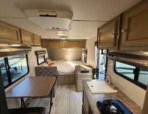 Palomino Real-Lite Mini 17-BS