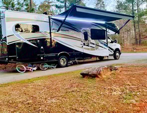 Thor Motor Coach Four Winds 31W