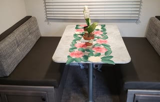 BRAND NEW 2021 Coachmen RV Apex Nano 208BHS