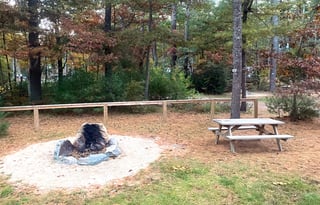 Your Home on Wheels! Furry friend approved!