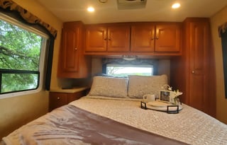 2010 Forest River RV Lexington 295DS