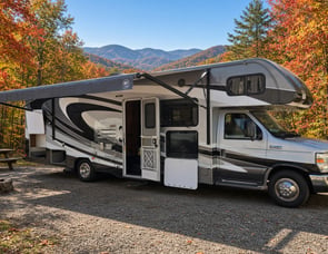 Forest River RV Sunseeker 3050S Ford
