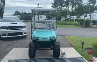 Hamilton’s Hangout-Kid & Pet Approved