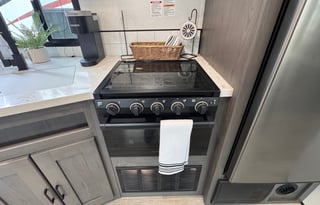 2021 Cruiser Embrace EL310