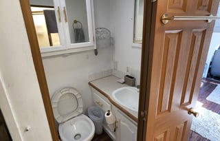 Miranda the pet friendly traveler