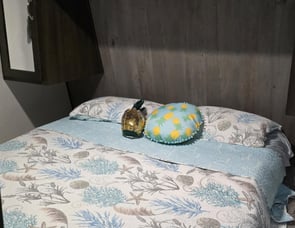 Keystone RV Springdale 260BH