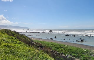 4WD All-Season "Jane" UNLIMITED MILES + Starlink