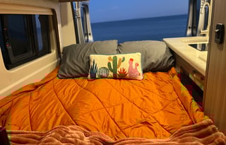 Tumbleweed w/ STARLINK. Where the good times roll!