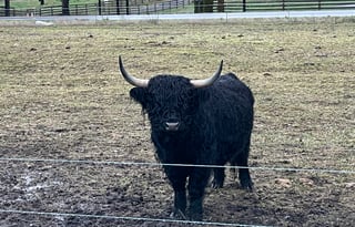 2020 Grand Design Reflection 311BHS