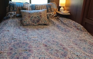 Lucky Leprechaun Class C RV