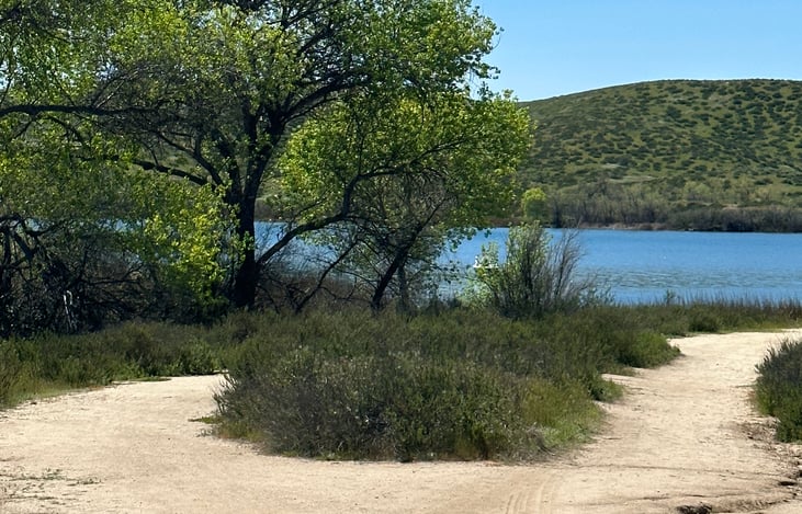 Adventurous ?  like hikes and trails ?  can you beat this without leaving the state ?  so many cool trails around Lake Skinner. Go and walk off all that booze!