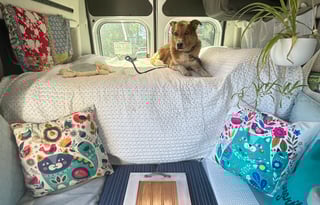2026 Thor Freedom Elite 17D Pet Friendly Van