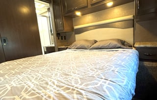 2019 Thor Motor Coach A.C.E. 30.2