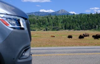 24 Winnebago Revel ALPINE FREE P/U +MILES+STARLINK