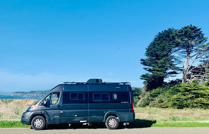 driver side- spotting migrating whales along the coast