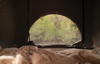 "Dewey" - 2022 Winnebago Solis 59P